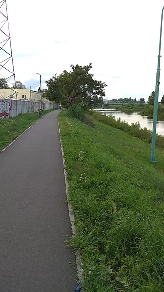 Droga do Siedlec (ścieżka rowerowa)